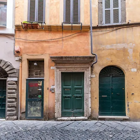 Navona Historic Lovely Flat *